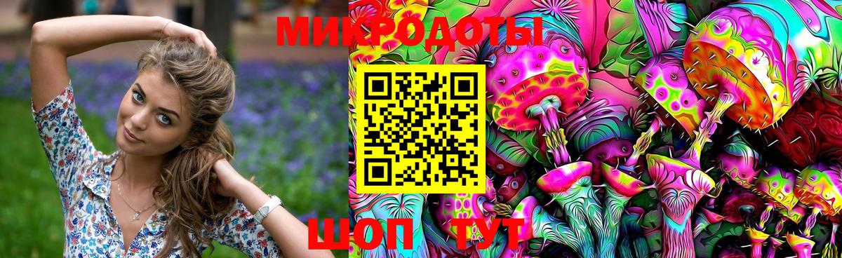 Галлюциногенные грибы Psilocybe Нововоронеж