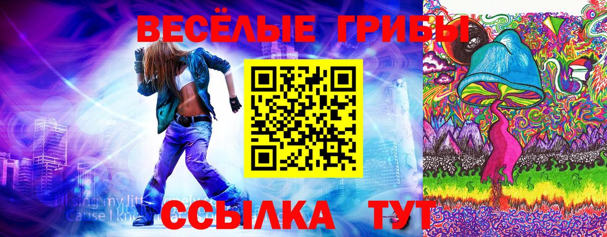 Псилоцибиновые грибы мицелий  Вход с VPN  Нововоронеж  Галлюциногенные грибы мицелий 